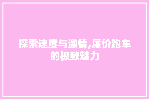 探索速度与激情,廉价跑车的极致魅力