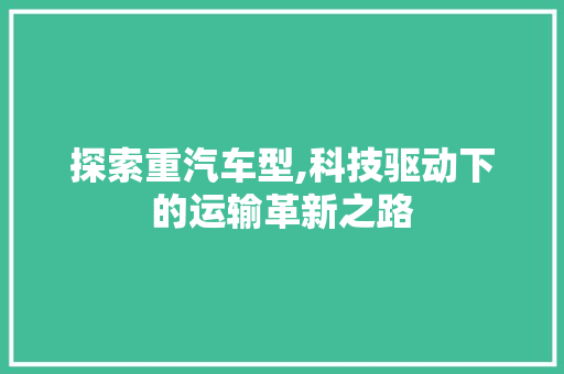 探索重汽车型,科技驱动下的运输革新之路