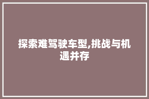 探索难驾驶车型,挑战与机遇并存