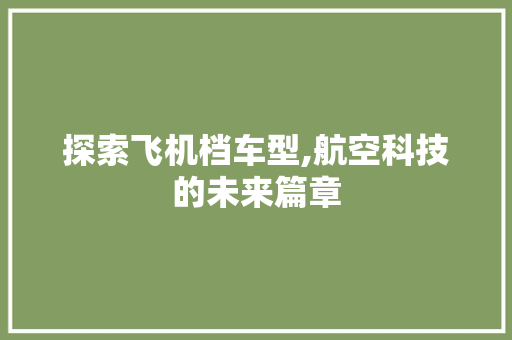 探索飞机档车型,航空科技的未来篇章