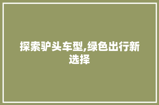 探索驴头车型,绿色出行新选择