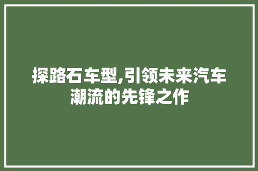 探路石车型,引领未来汽车潮流的先锋之作