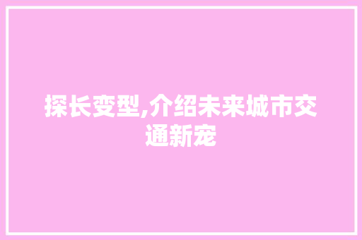 探长变型,介绍未来城市交通新宠
