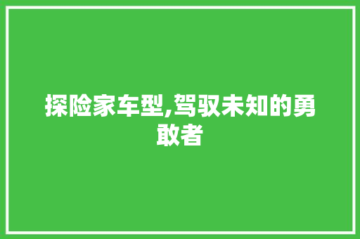 探险家车型,驾驭未知的勇敢者