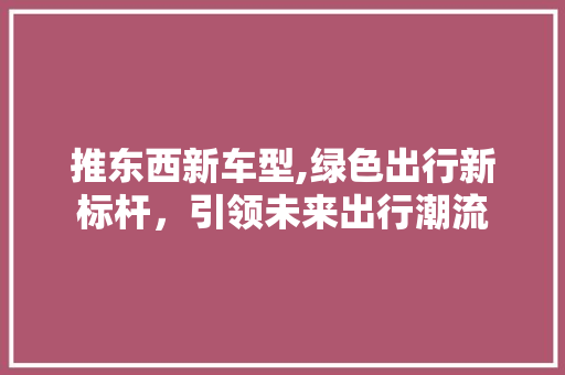 推东西新车型,绿色出行新标杆，引领未来出行潮流