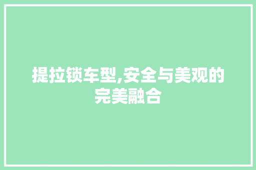 提拉锁车型,安全与美观的完美融合