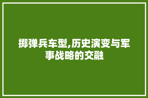 掷弹兵车型,历史演变与军事战略的交融