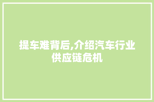 提车难背后,介绍汽车行业供应链危机