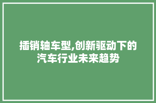 插销轴车型,创新驱动下的汽车行业未来趋势