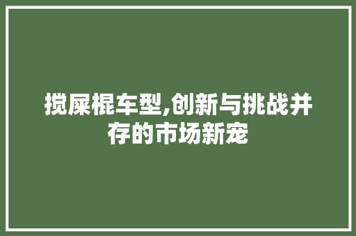 搅屎棍车型,创新与挑战并存的市场新宠