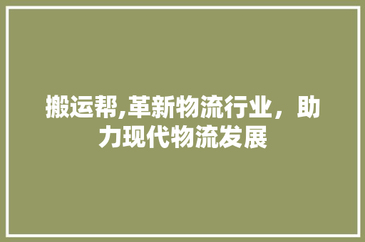 搬运帮,革新物流行业，助力现代物流发展