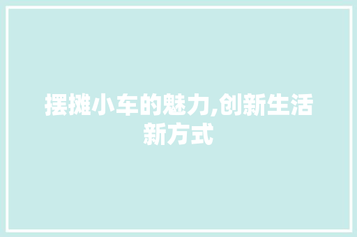 摆摊小车的魅力,创新生活新方式