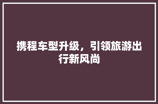 携程车型升级，引领旅游出行新风尚