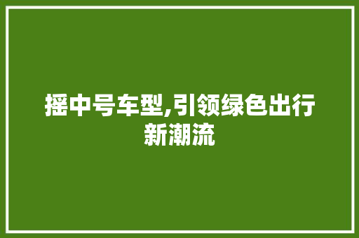 摇中号车型,引领绿色出行新潮流