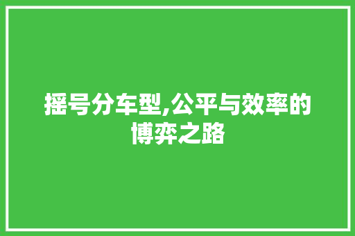 摇号分车型,公平与效率的博弈之路