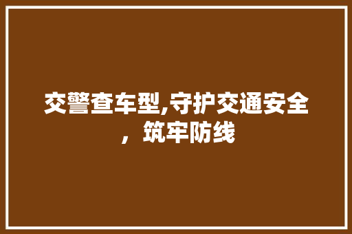 交警查车型,守护交通安全，筑牢防线