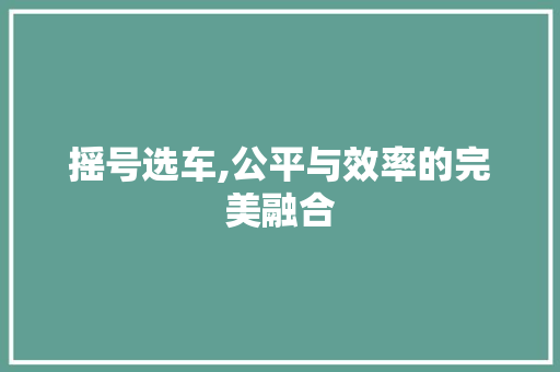 摇号选车,公平与效率的完美融合
