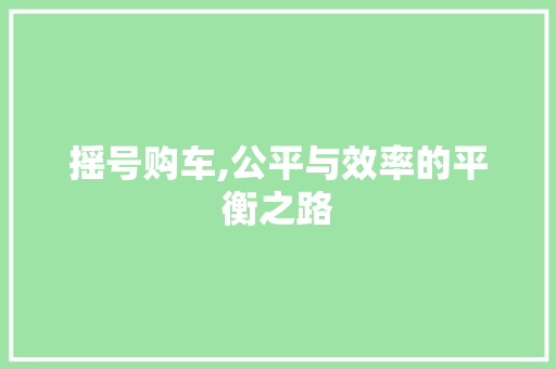摇号购车,公平与效率的平衡之路