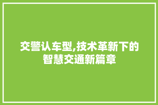 交警认车型,技术革新下的智慧交通新篇章