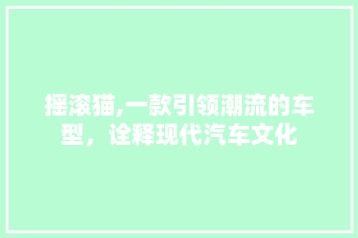 摇滚猫,一款引领潮流的车型，诠释现代汽车文化
