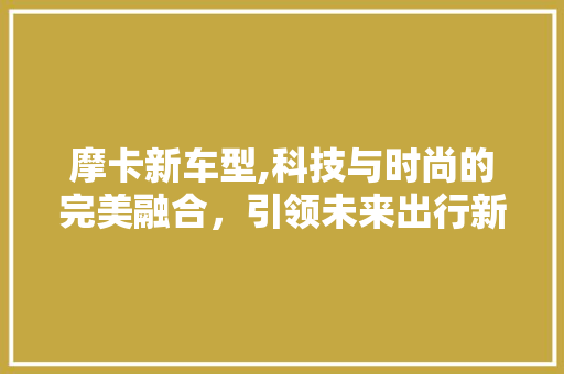 摩卡新车型,科技与时尚的完美融合，引领未来出行新潮流