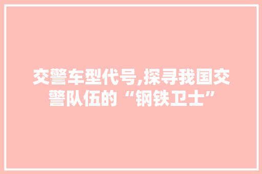 交警车型代号,探寻我国交警队伍的“钢铁卫士”