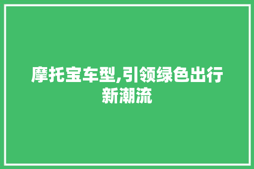 摩托宝车型,引领绿色出行新潮流