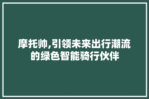 摩托帅,引领未来出行潮流的绿色智能骑行伙伴