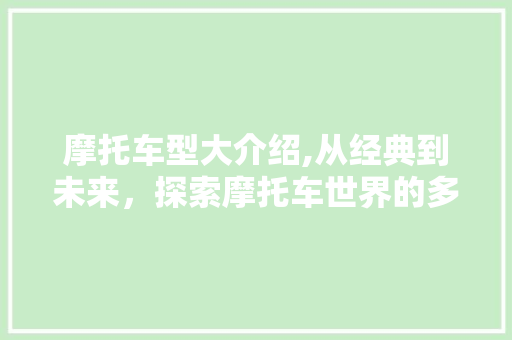 摩托车型大介绍,从经典到未来，探索摩托车世界的多样化选择