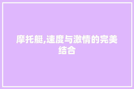 摩托艇,速度与激情的完美结合