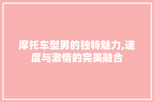 摩托车型男的独特魅力,速度与激情的完美融合 汽车配件
