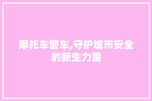 摩托车警车,守护城市安全的新生力量 蓄电池配件
