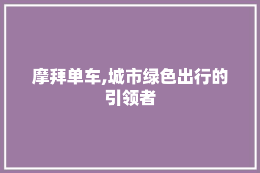 摩拜单车,城市绿色出行的引领者