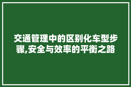 交通管理中的区别化车型步骤,安全与效率的平衡之路