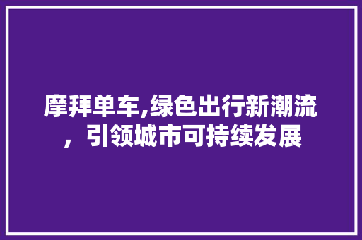 摩拜单车,绿色出行新潮流，引领城市可持续发展 车身配件