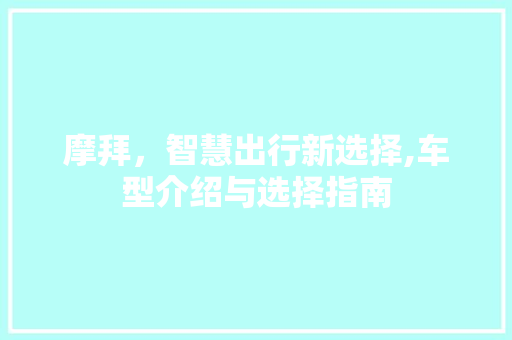 摩拜，智慧出行新选择,车型介绍与选择指南