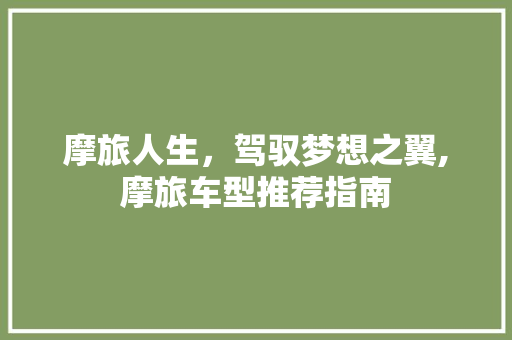 摩旅人生，驾驭梦想之翼,摩旅车型推荐指南