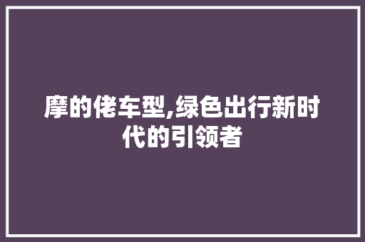 摩的佬车型,绿色出行新时代的引领者