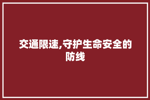 交通限速,守护生命安全的防线