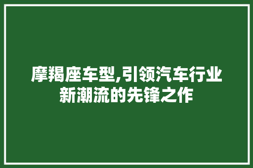 摩羯座车型,引领汽车行业新潮流的先锋之作