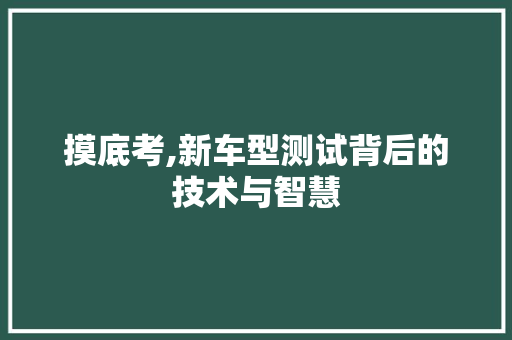 摸底考,新车型测试背后的技术与智慧