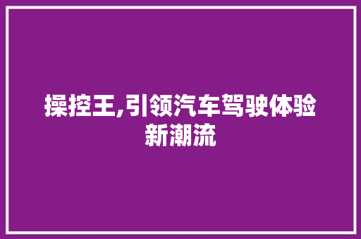 操控王,引领汽车驾驶体验新潮流