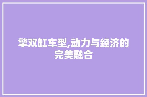 擎双缸车型,动力与经济的完美融合