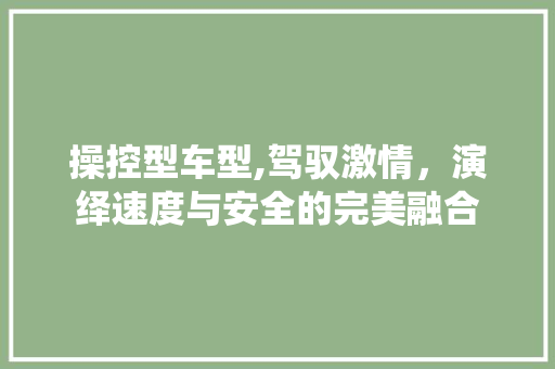 操控型车型,驾驭激情，演绎速度与安全的完美融合