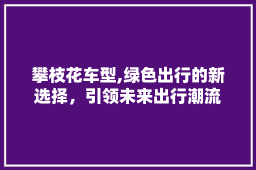 攀枝花车型,绿色出行的新选择，引领未来出行潮流