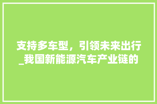 支持多车型，引领未来出行_我国新能源汽车产业链的崛起