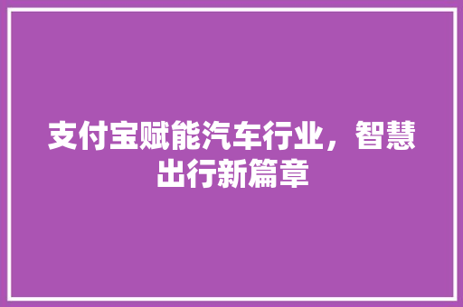 支付宝赋能汽车行业，智慧出行新篇章