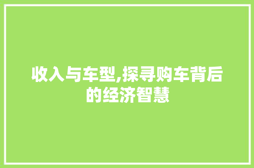 收入与车型,探寻购车背后的经济智慧