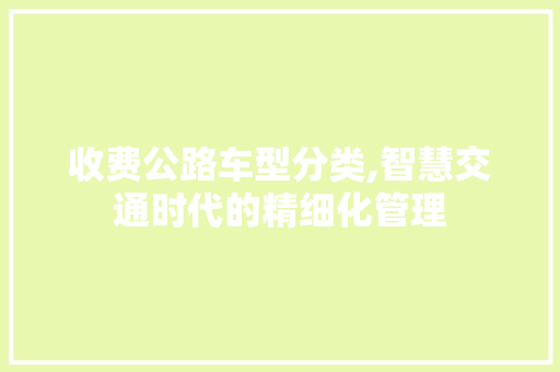 收费公路车型分类,智慧交通时代的精细化管理