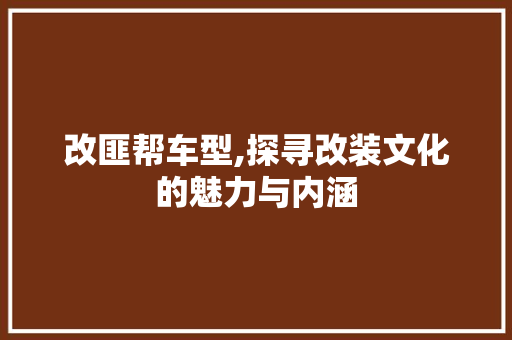 改匪帮车型,探寻改装文化的魅力与内涵